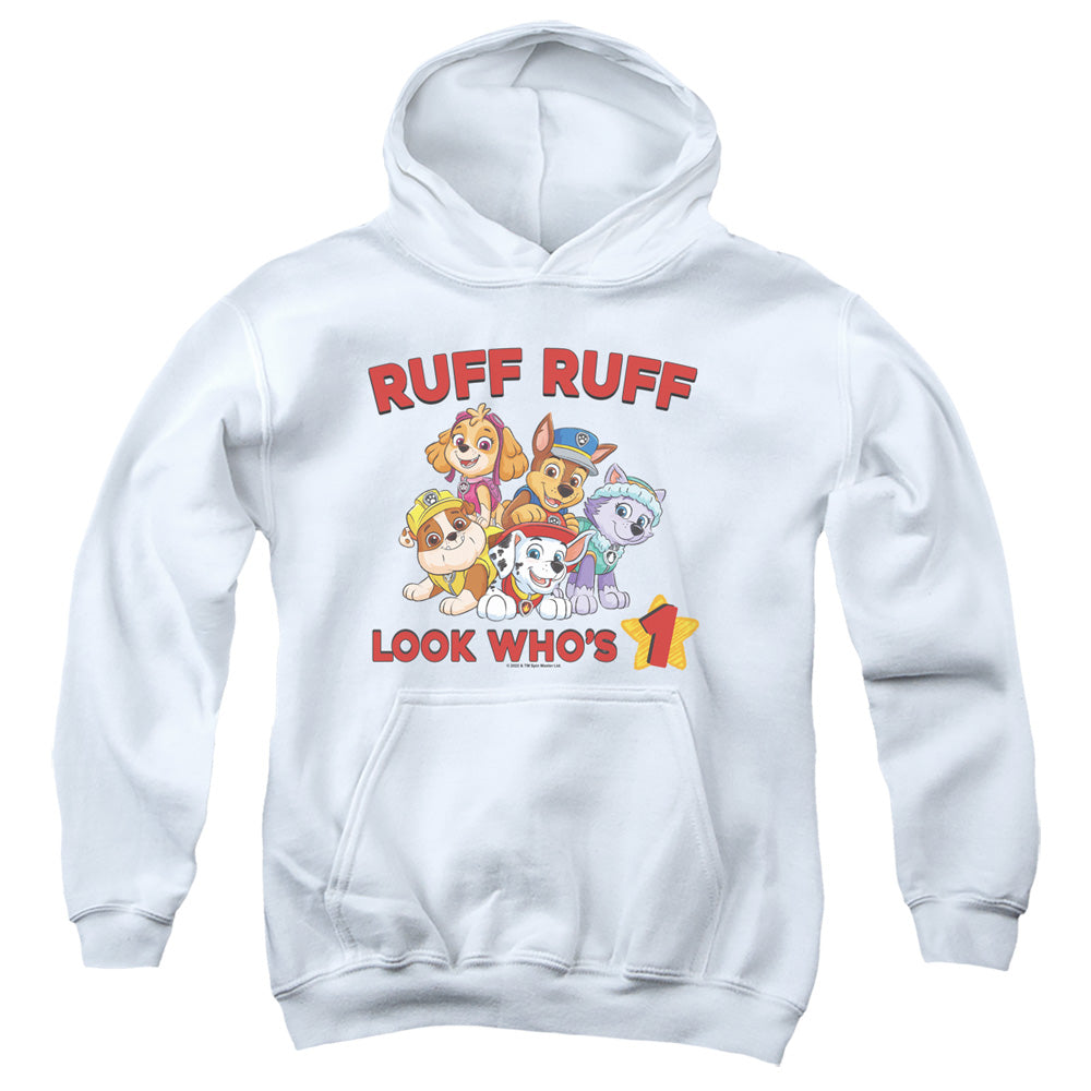 PAW PATROL/RUFF RUFF BIRTHDAY