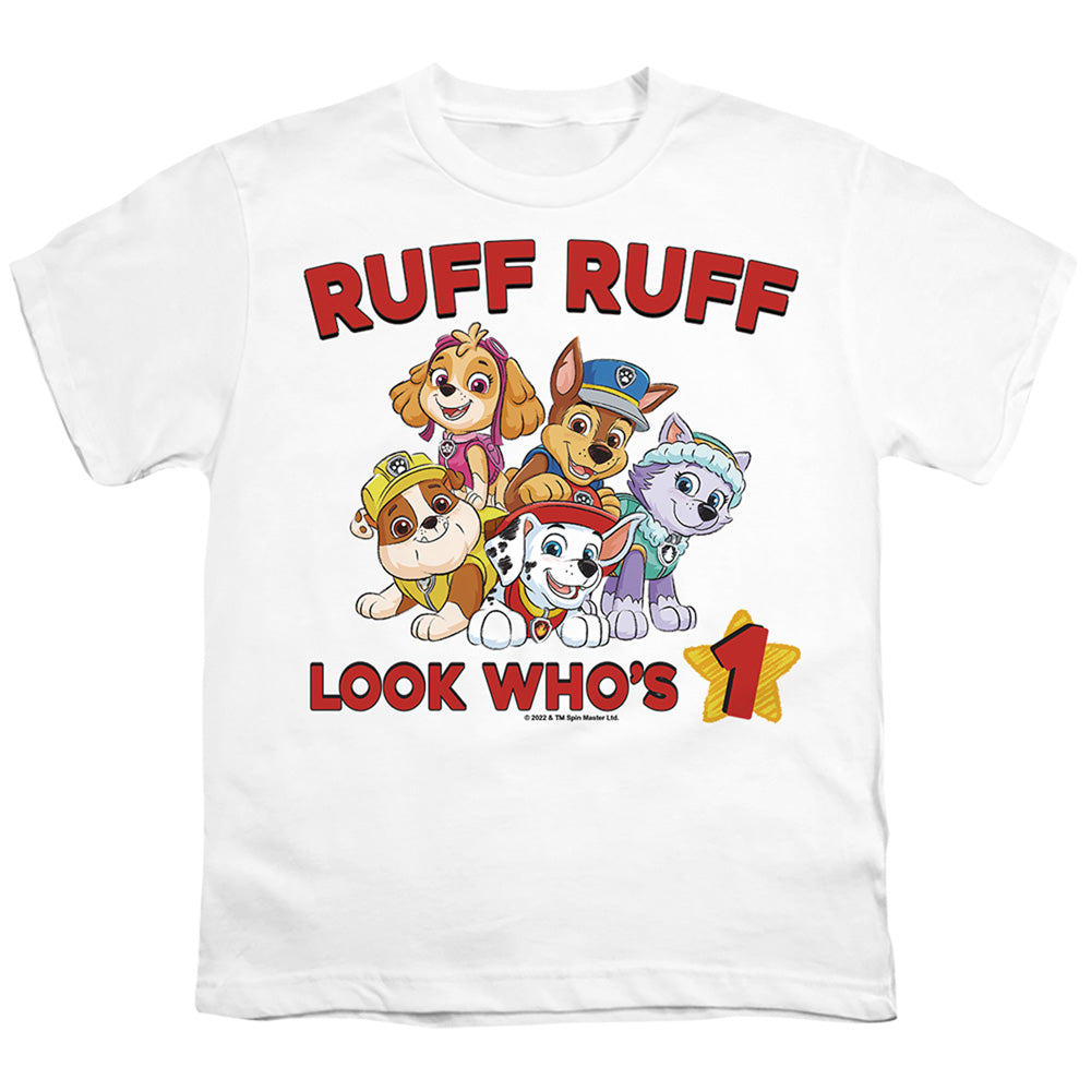 PAW PATROL/RUFF RUFF BIRTHDAY
