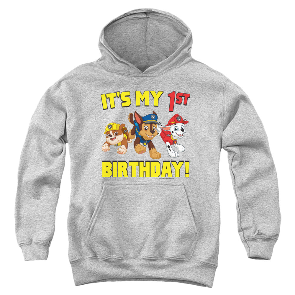 PAW PATROL/GROUP HAPPY BIRTHDAY
