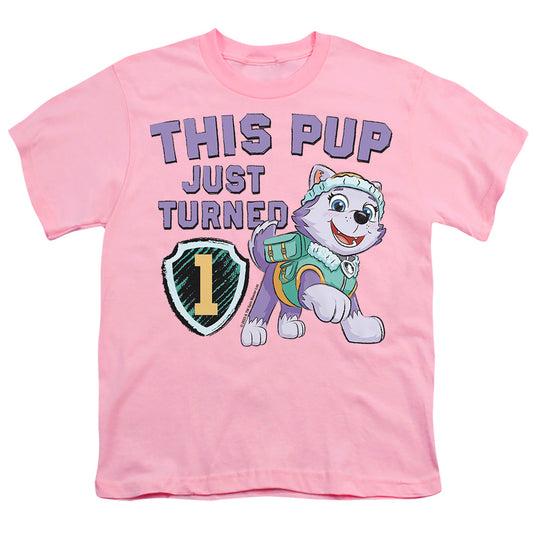 PAW PATROL/THIS PUP GIRL BIRTHDAY