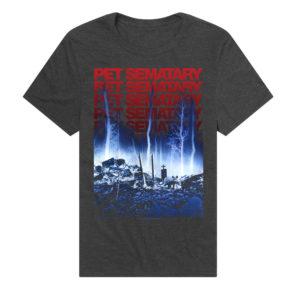 PET SEMATARY/SEMATARY