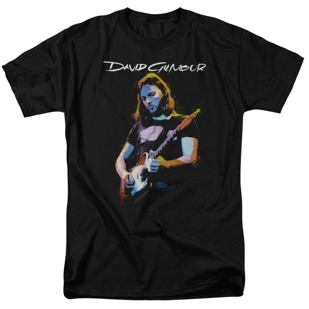 DAVID GILMOUR/GUITAR GILMOUR