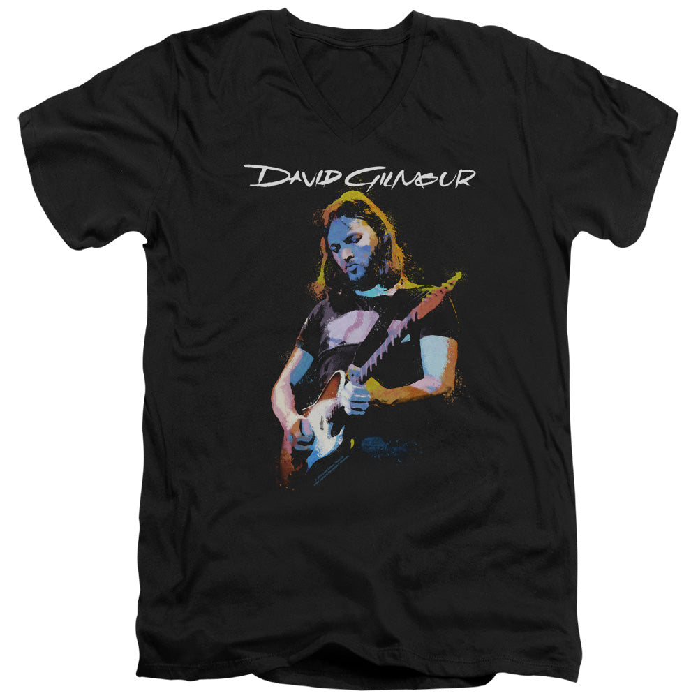 DAVID GILMOUR/GUITAR GILMOUR