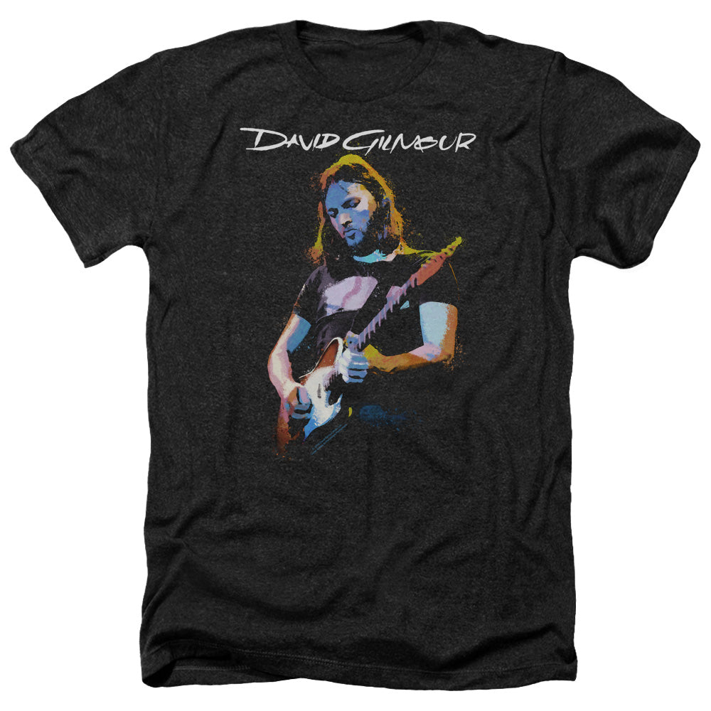 DAVID GILMOUR/GUITAR GILMOUR