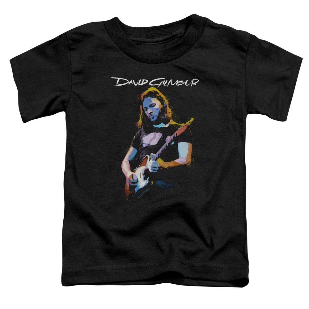 DAVID GILMOUR/GUITAR GILMOUR