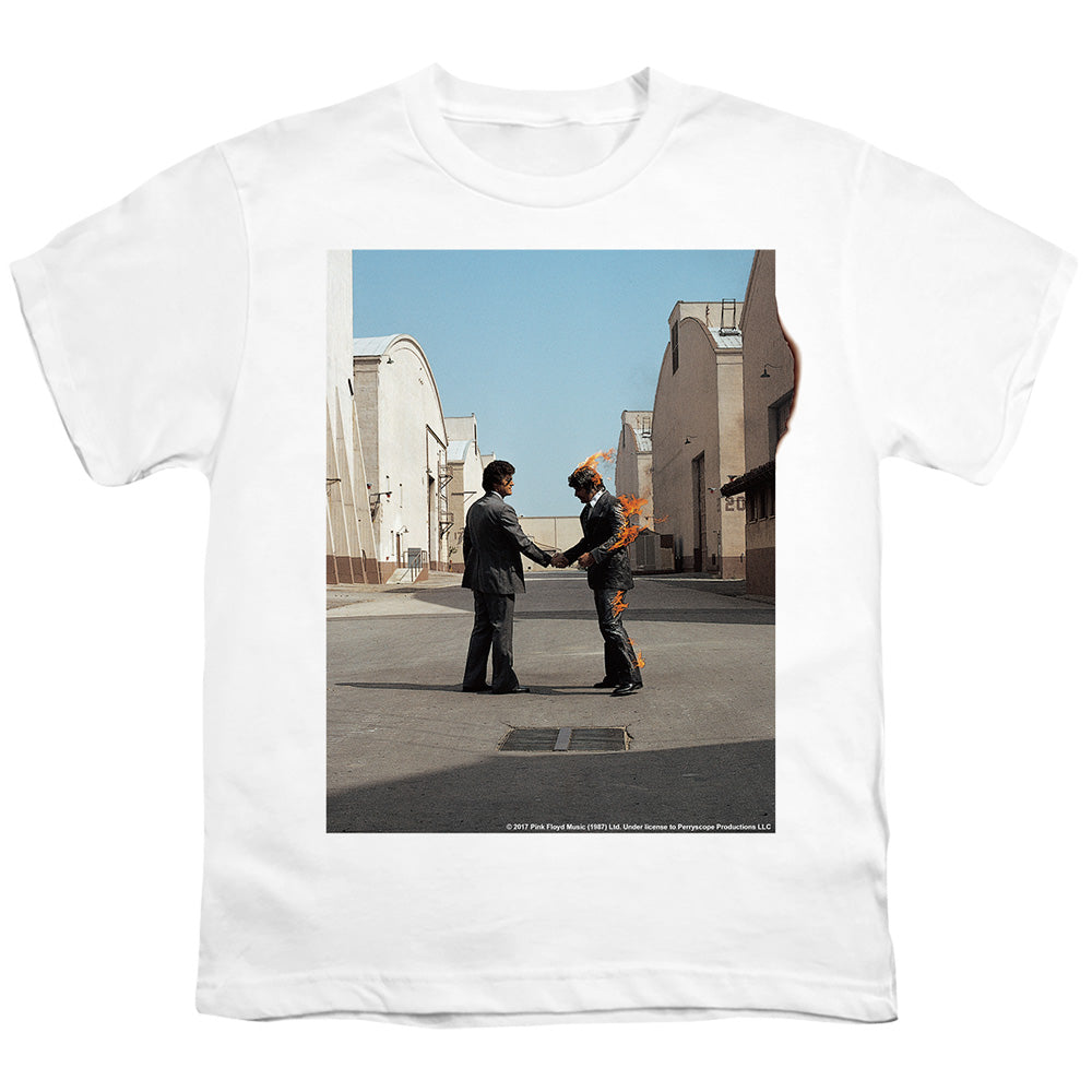 PINK FLOYD/WISH YOU WERE HERE