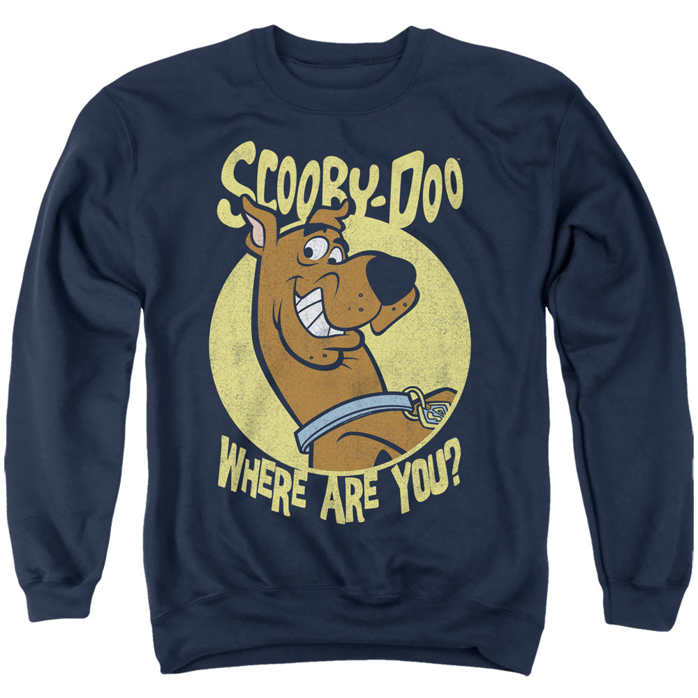 SCOOBY DOO/WHERE ARE YOU