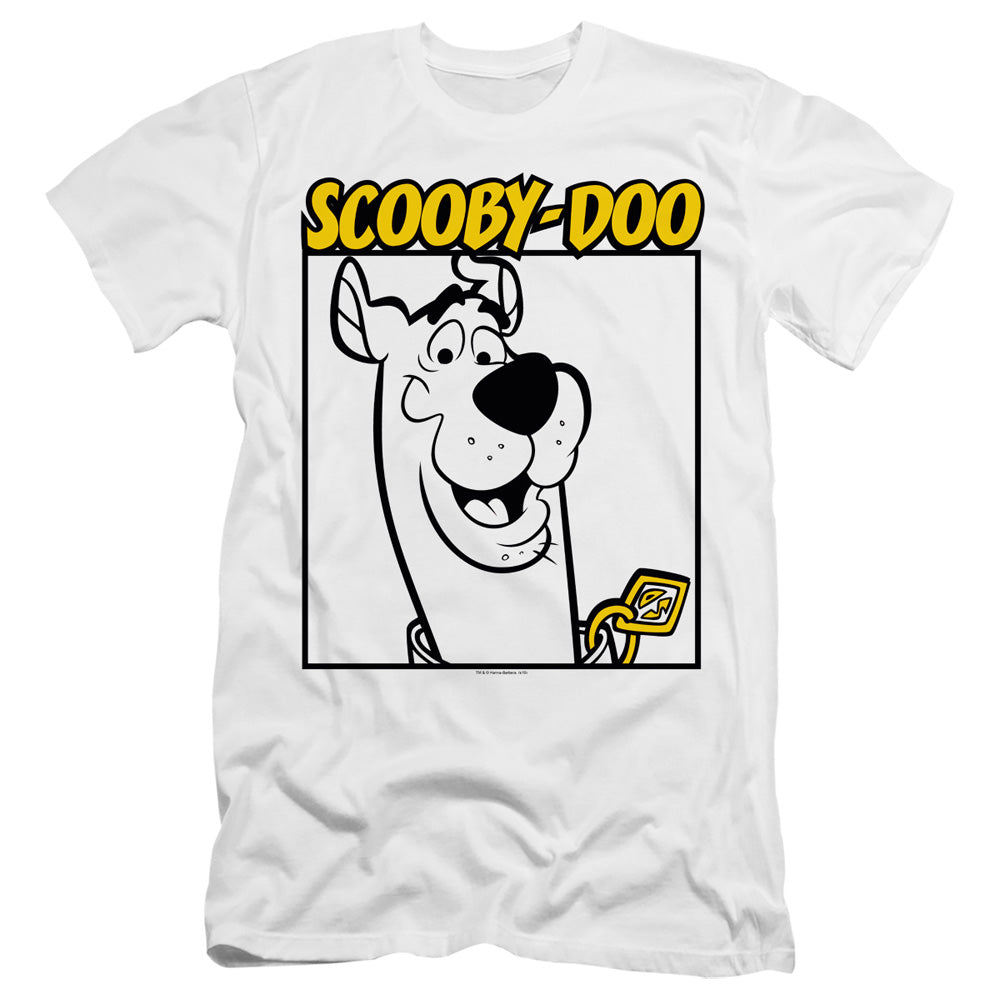 SCOOBY DOO/SCOOBY SQUARE