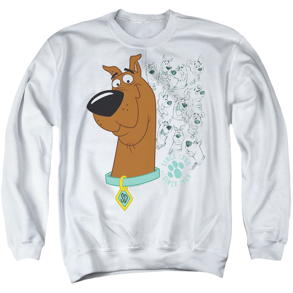 SCOOBY DOO/EVOLUTION OF SCOOBY DOO