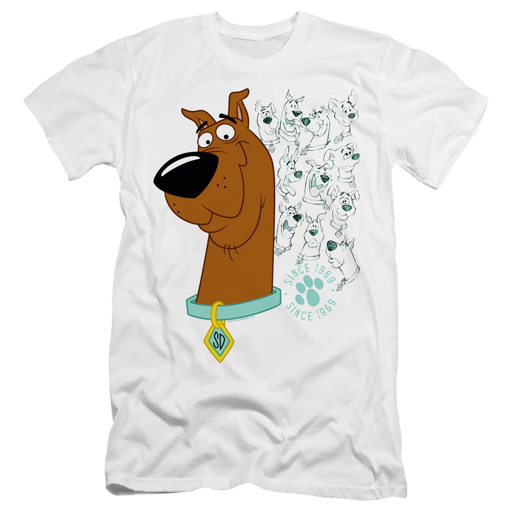 SCOOBY DOO/EVOLUTION OF SCOOBY DOO