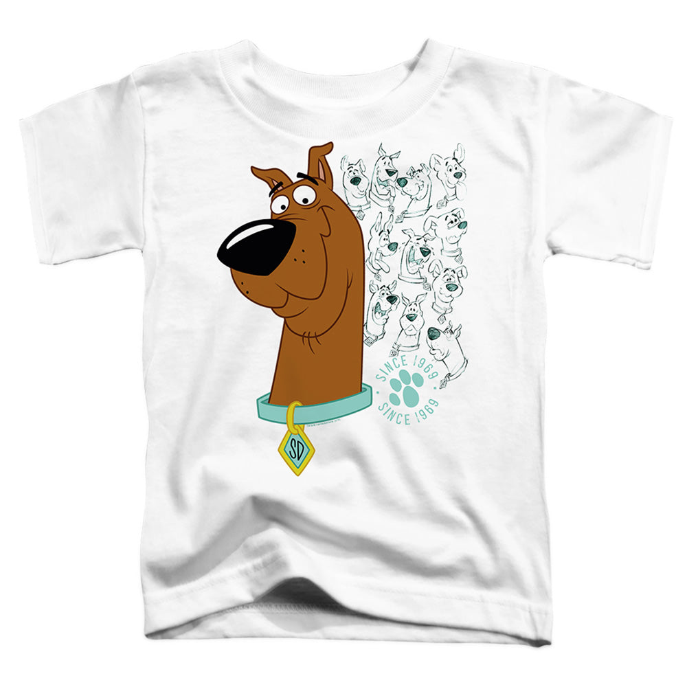 SCOOBY DOO/EVOLUTION OF SCOOBY DOO