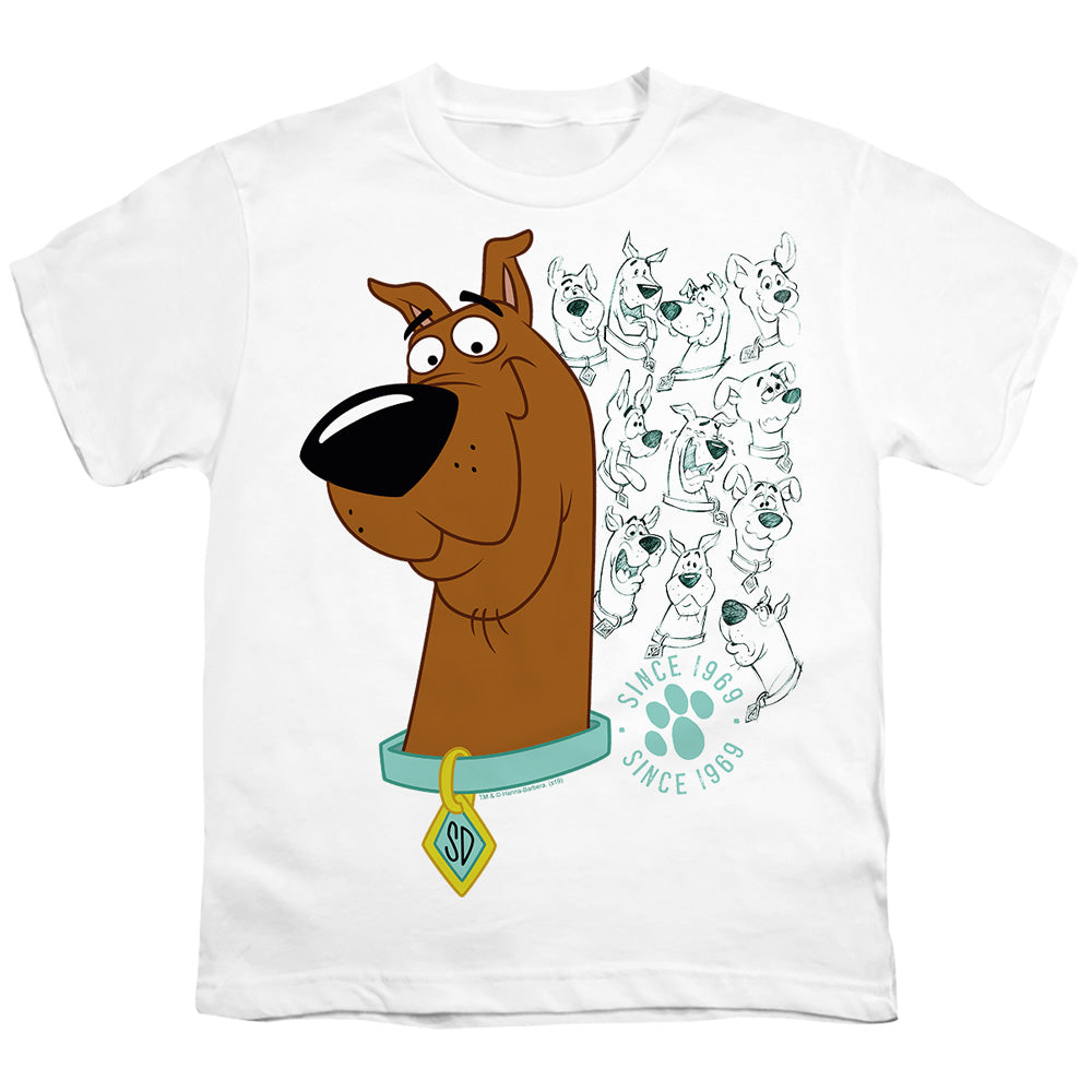 SCOOBY DOO/EVOLUTION OF SCOOBY DOO