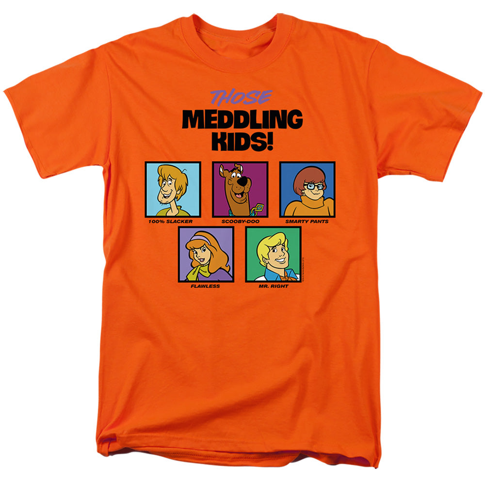 SCOOBY DOO/THOSE MEDDLING KIDS