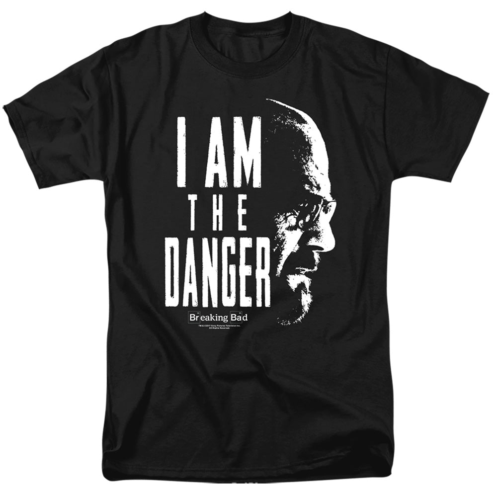 BREAKING BAD/THE DANGER