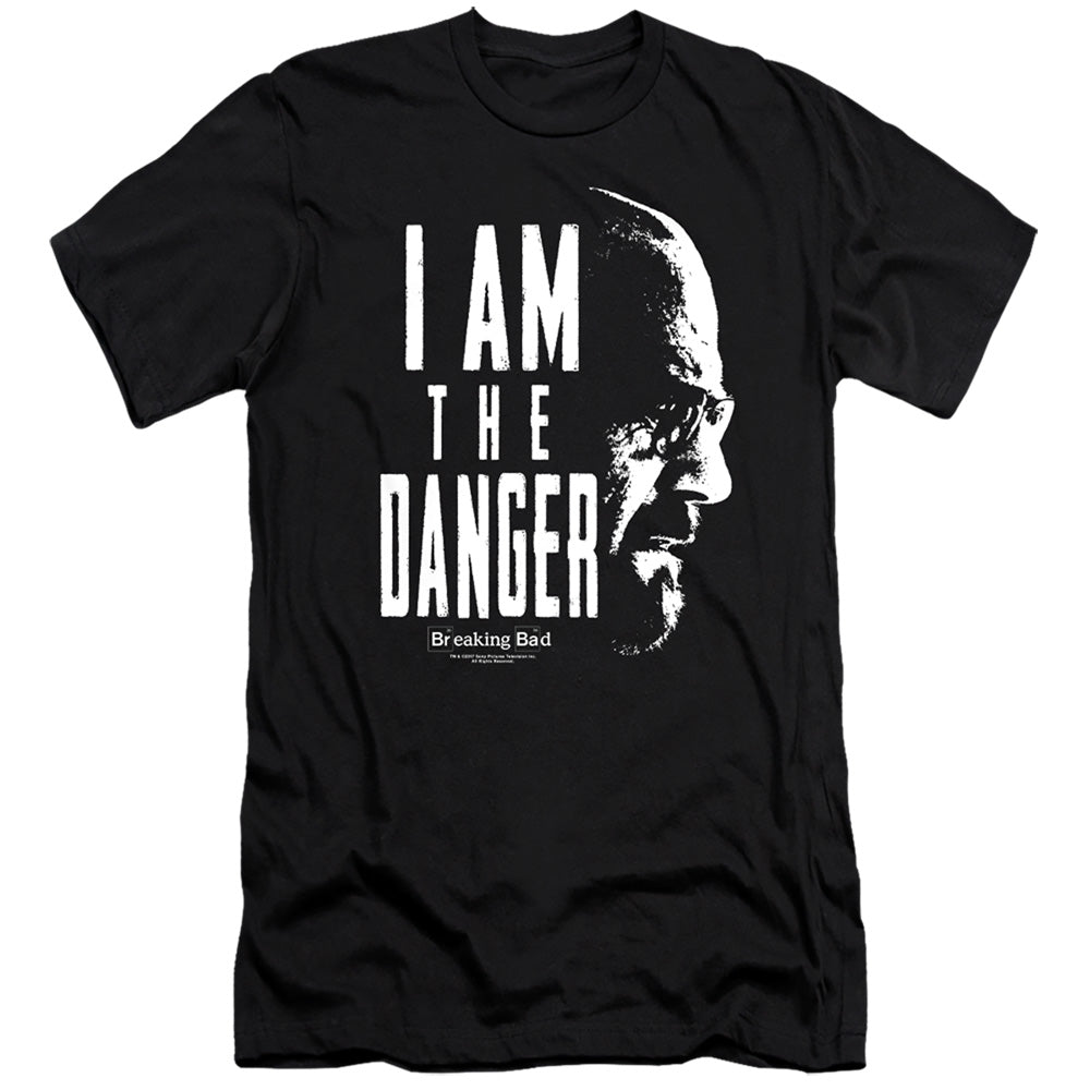 BREAKING BAD/THE DANGER