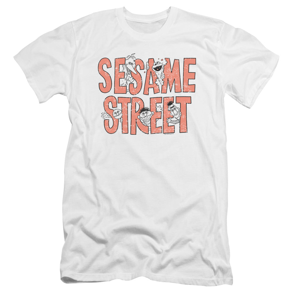 SESAME STREET/IN LETTERS