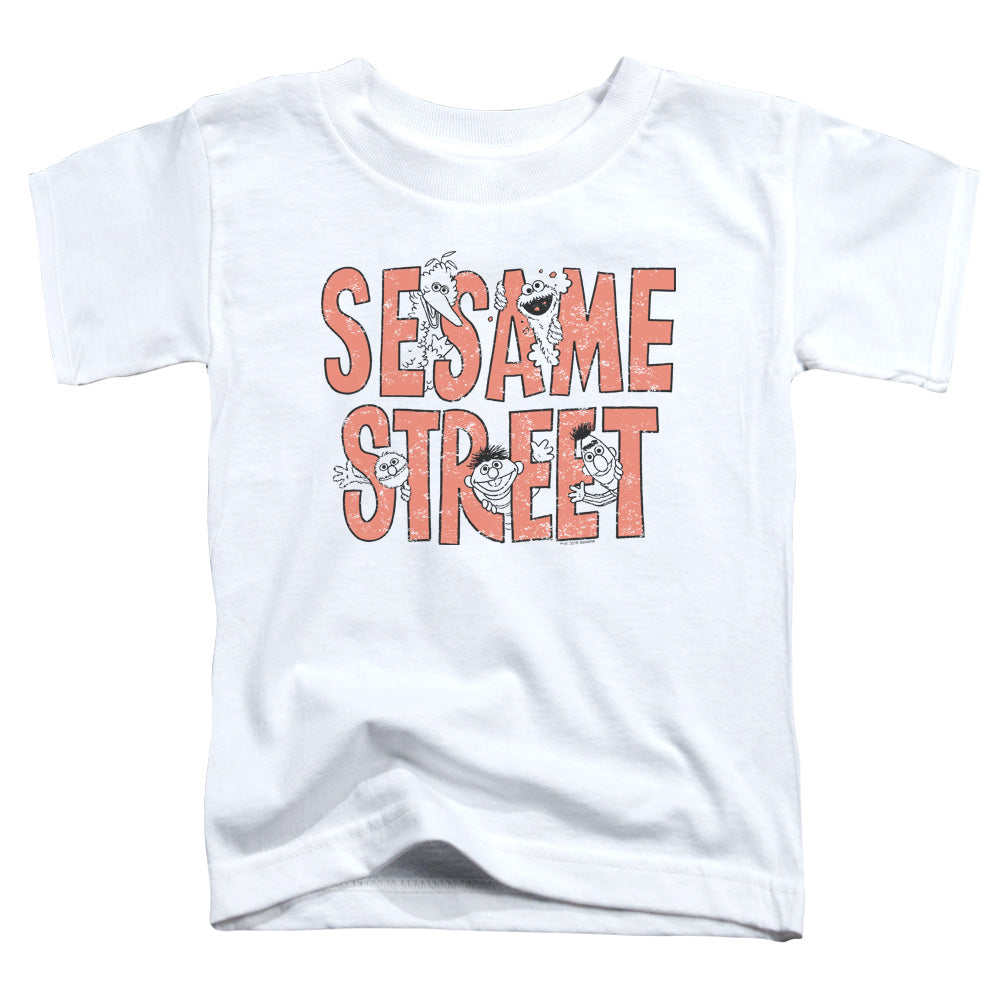 SESAME STREET/IN LETTERS