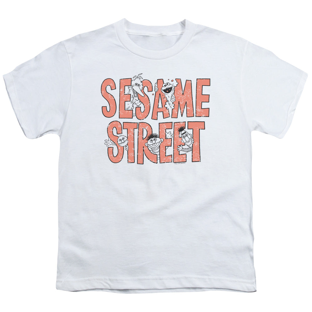 SESAME STREET/IN LETTERS