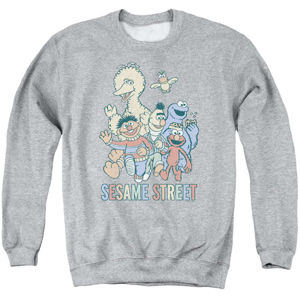SESAME STREET/COLORFUL GROUP