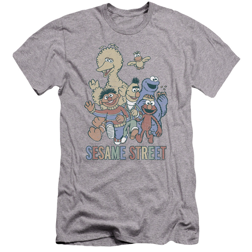 SESAME STREET/COLORFUL GROUP