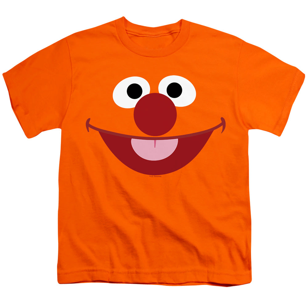 SESAME STREET/ERNIE FACE