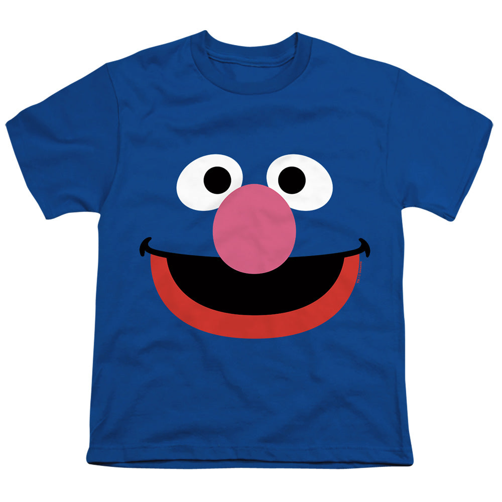 SESAME STREET/GROVER FACE