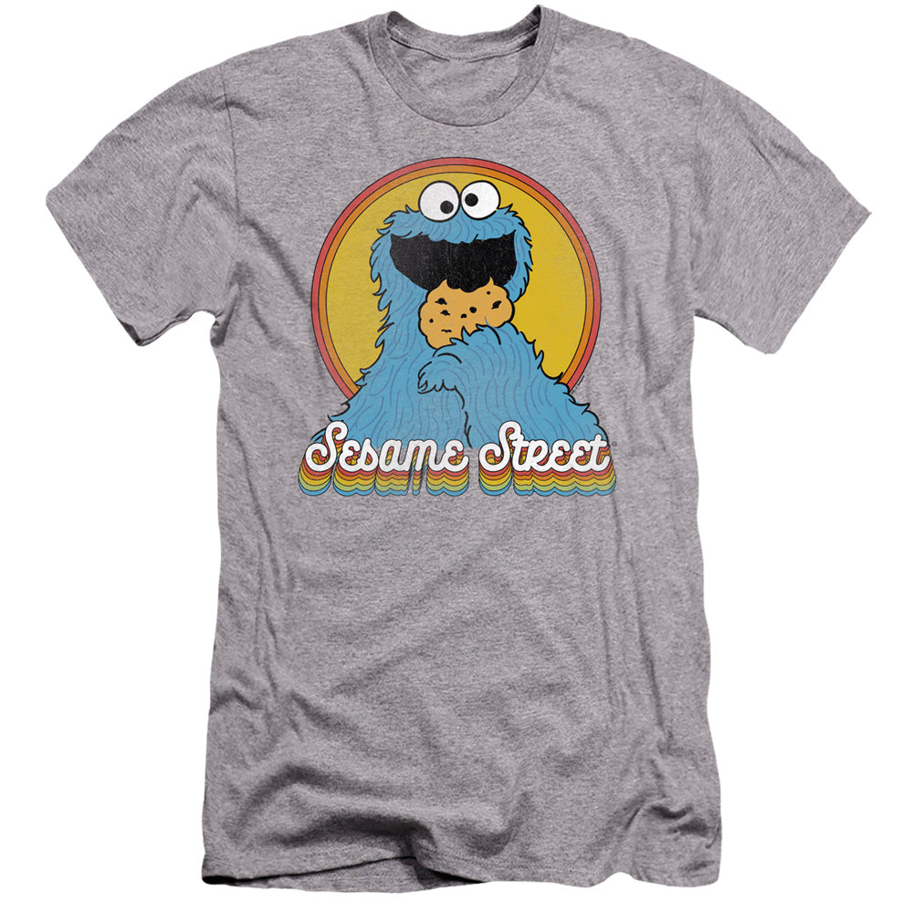 SESAME STREET/COOKIE MONSTER LAYERS