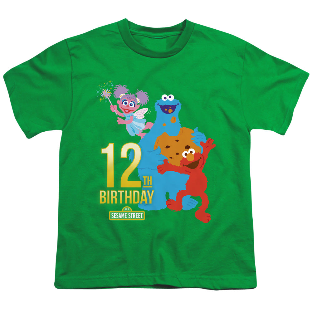SESAME STREET/12TH BIRTHDAY