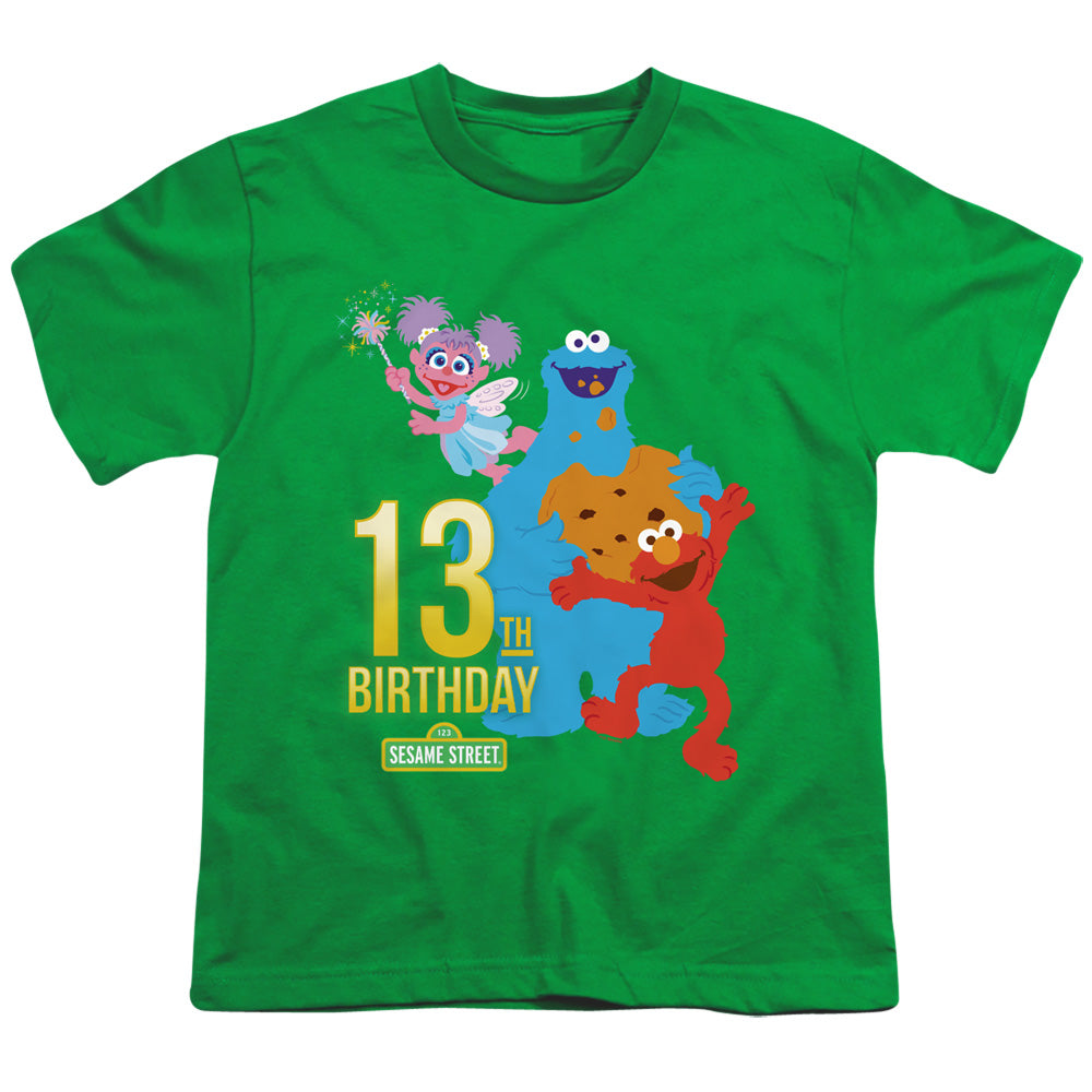 SESAME STREET/13TH BIRTHDAY
