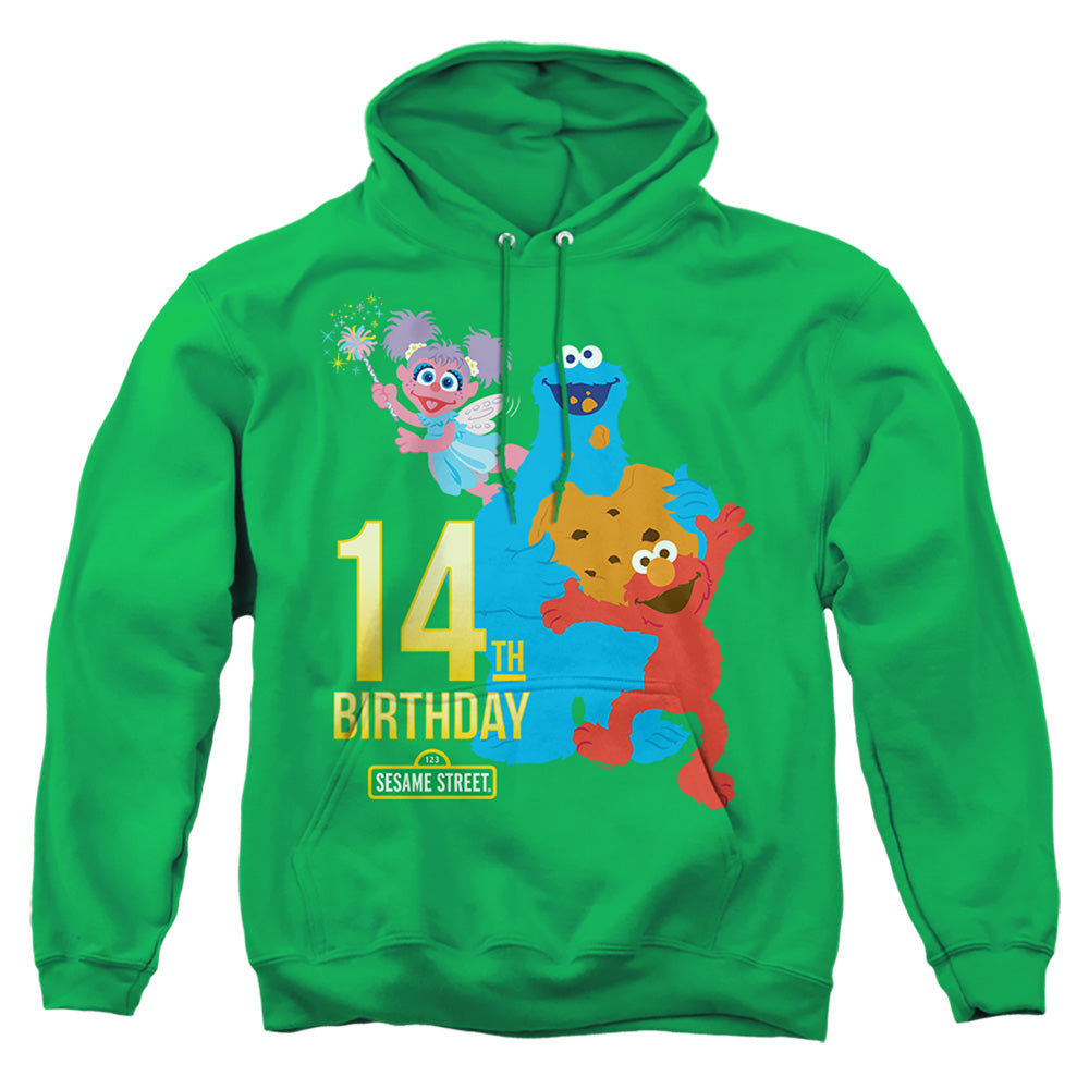 SESAME STREET/14TH BIRTHDAY