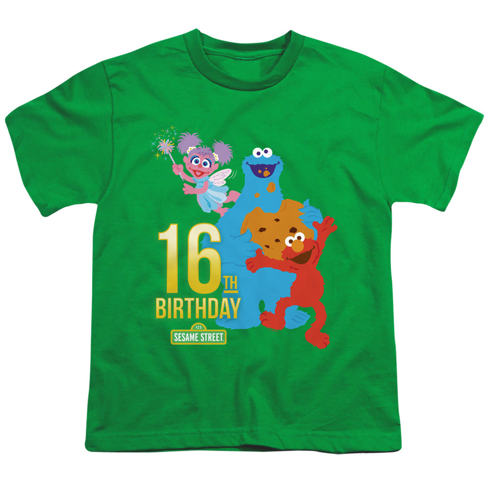 SESAME STREET/16TH BIRTHDAY
