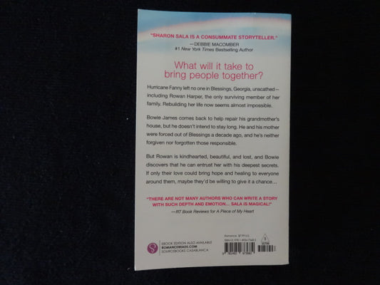 Sharron Sala A Rainbow Above Us