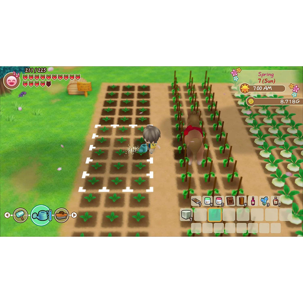 Story of Seasons: Friends of Mineral Town - Switch