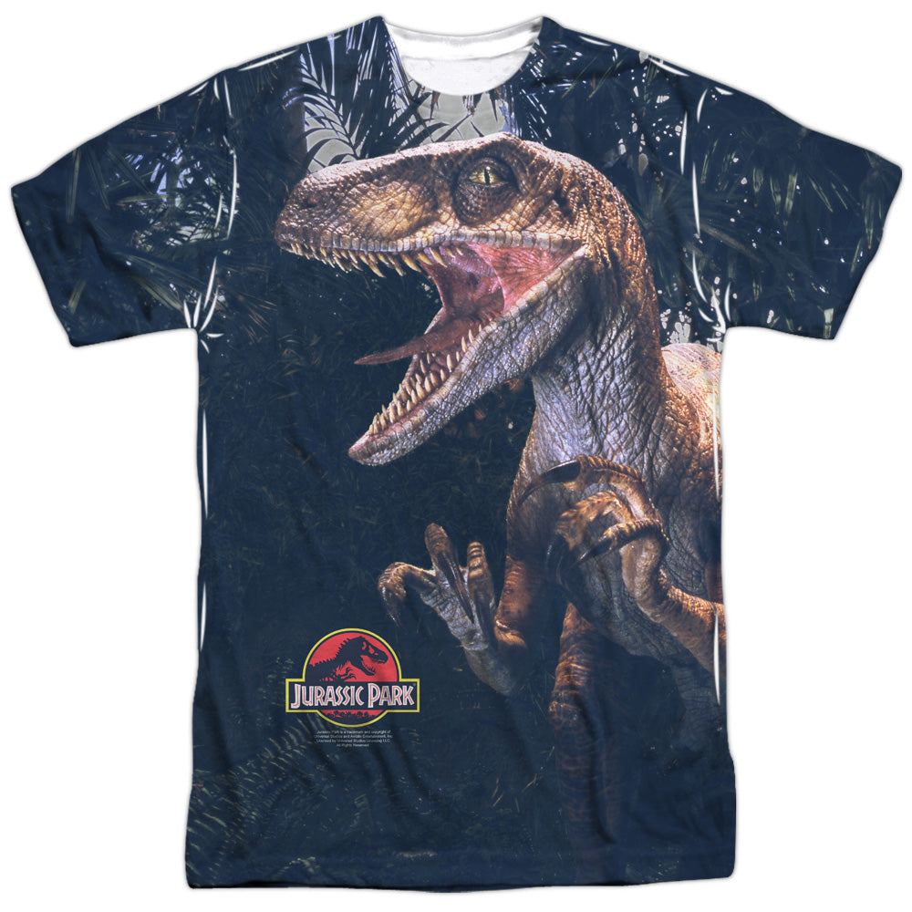 JURASSIC PARK/RAPTORS