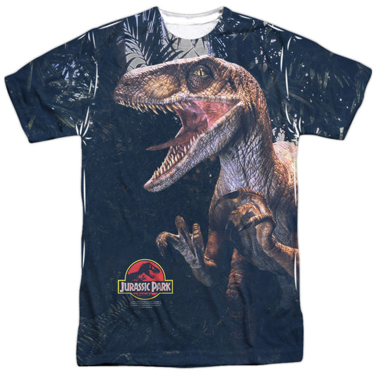 JURASSIC PARK/RAPTORS