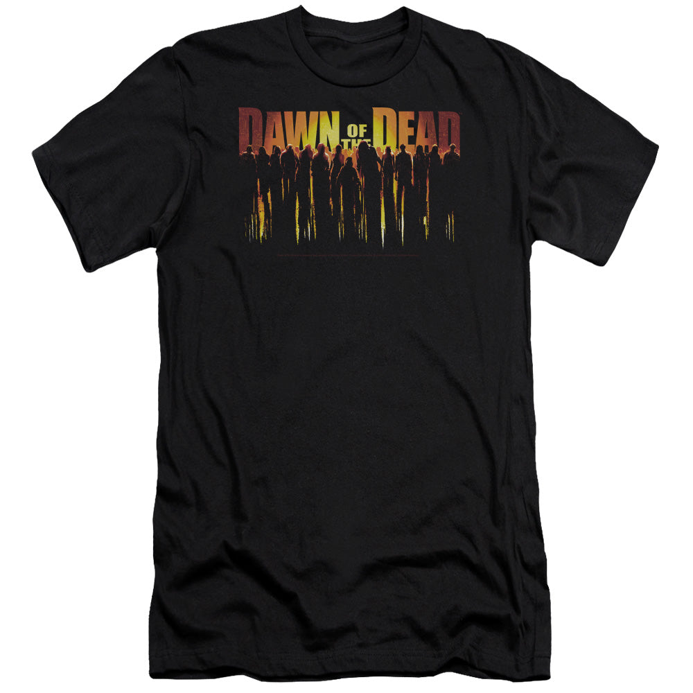 DAWN OF THE DEAD/WALKING DEAD