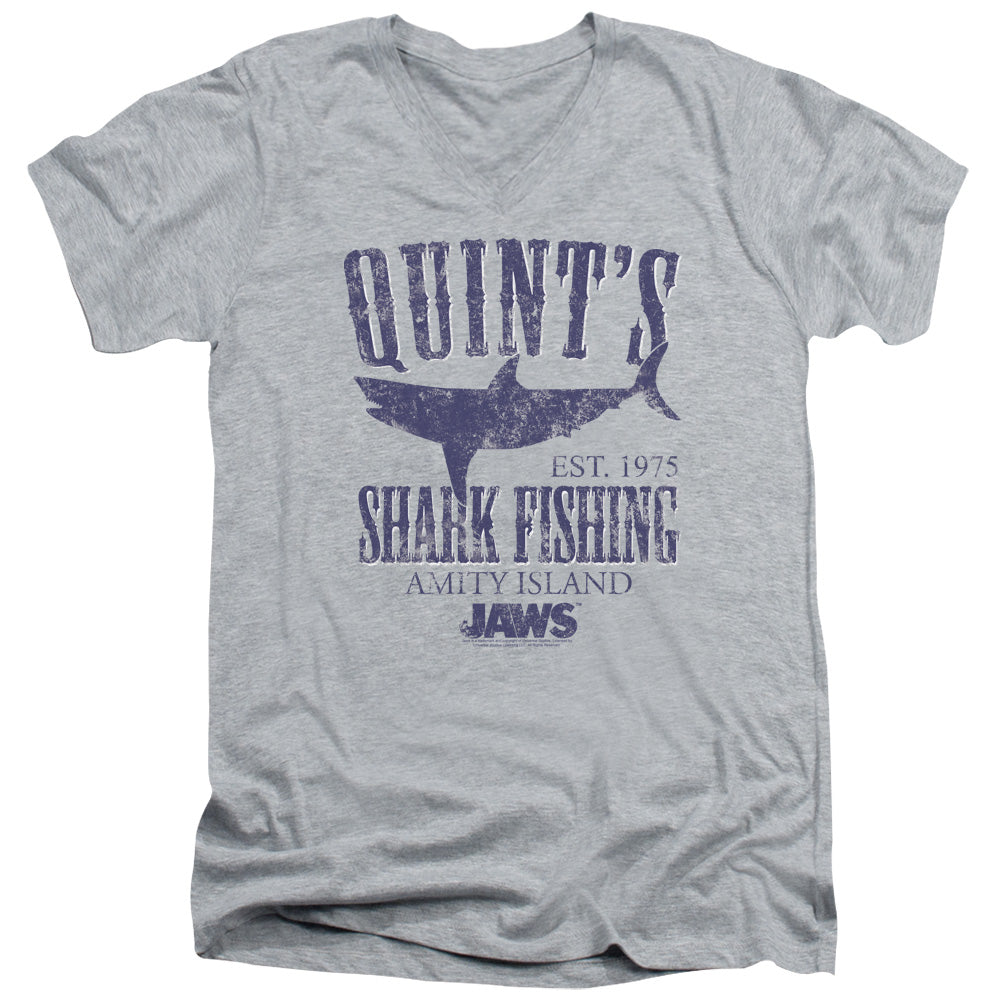 JAWS/QUINTS