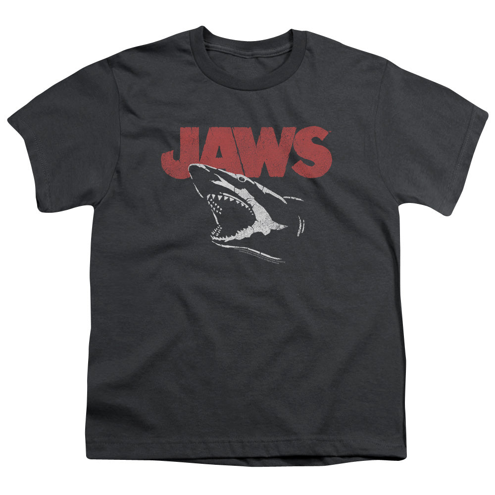 JAWS/CRACKED JAW