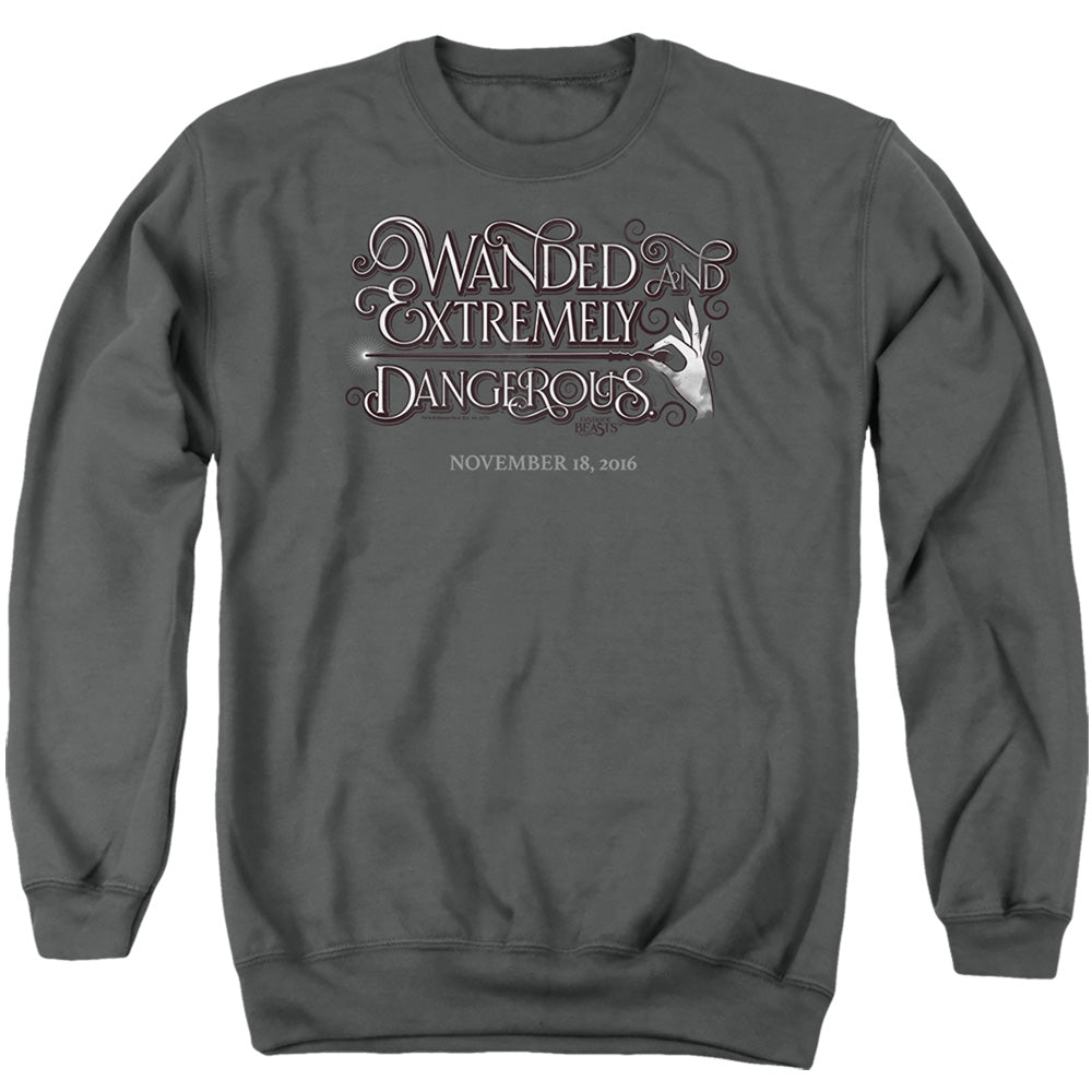FANTASTIC BEASTS/WANDED