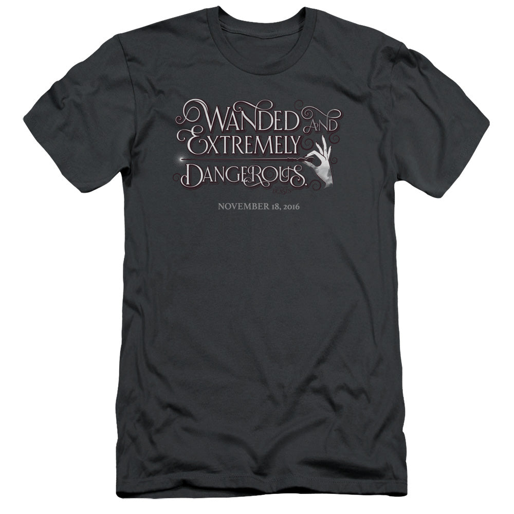 FANTASTIC BEASTS/WANDED