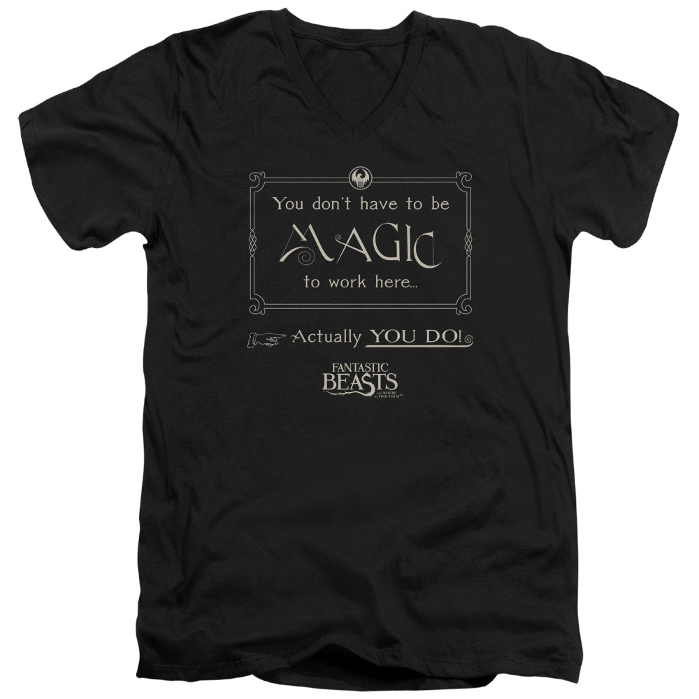 FANTASTIC BEASTS/MAGIC TO WORK HERE