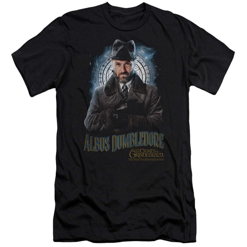 FANTASTIC BEASTS 2/DUMBLEDORE