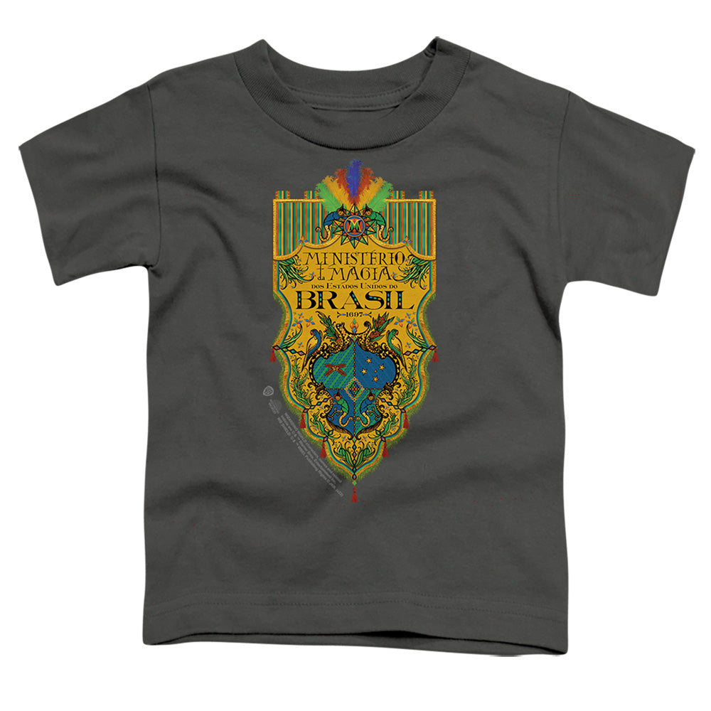 FANTASTIC BEASTS THE SECRETS OF DUMBLEDORE/BRAZIL MINISTRY FLAG