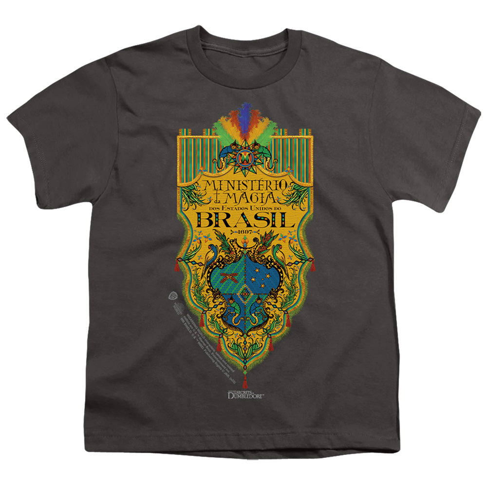 FANTASTIC BEASTS THE SECRETS OF DUMBLEDORE/BRAZIL MINISTRY FLAG
