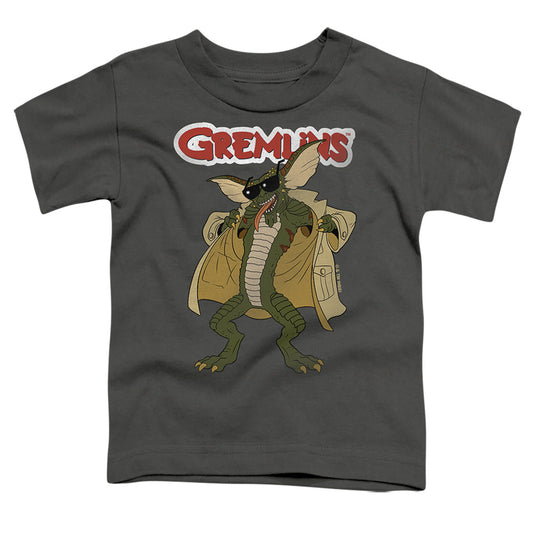 GREMLINS/FLASHER