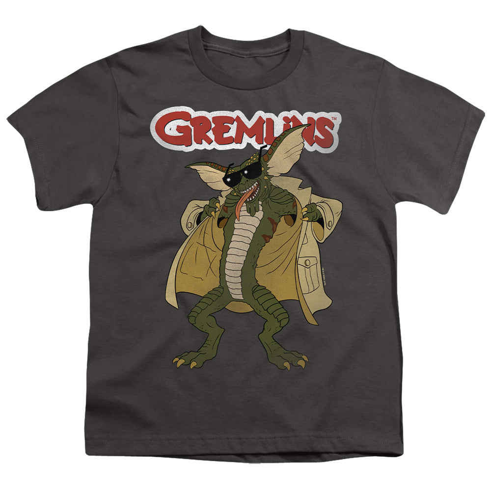GREMLINS/FLASHER