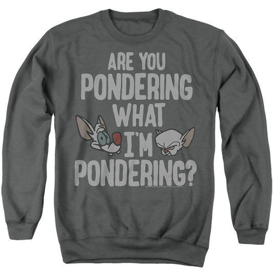 PINKY AND THE BRAIN/THE I THINK SO