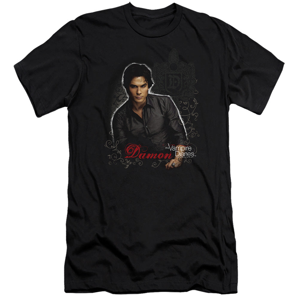 VAMPIRE DIARIES/DAMON