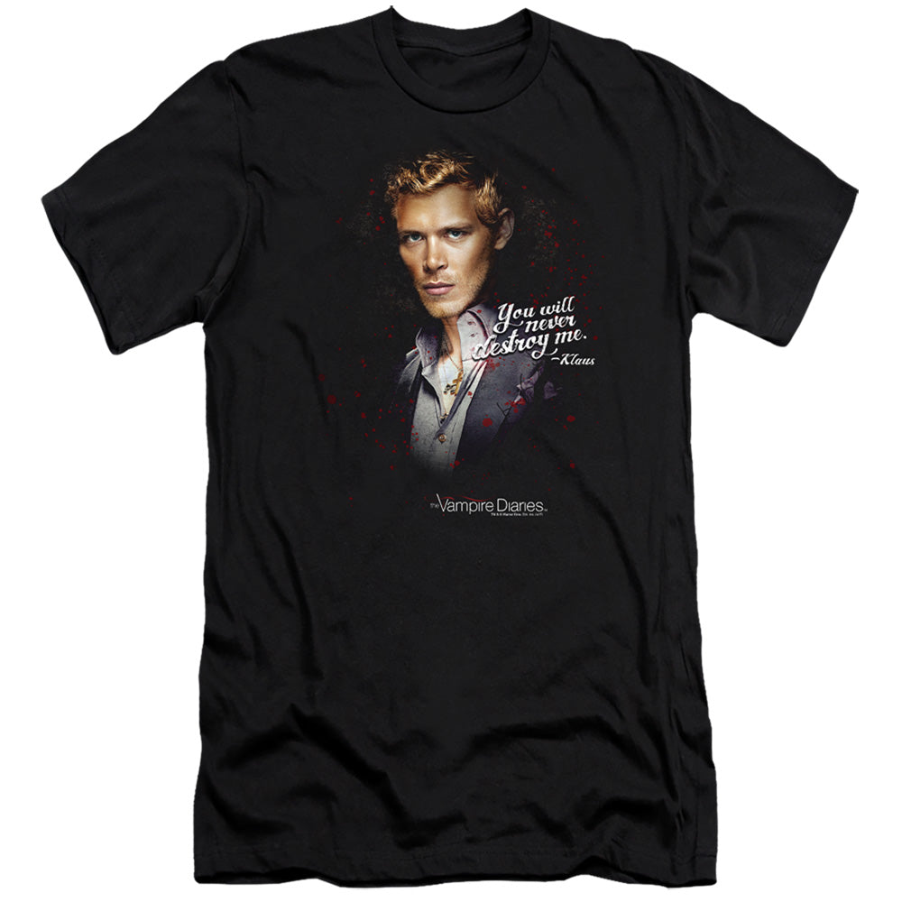 VAMPIRE DIARIES/NEVER DESTROY