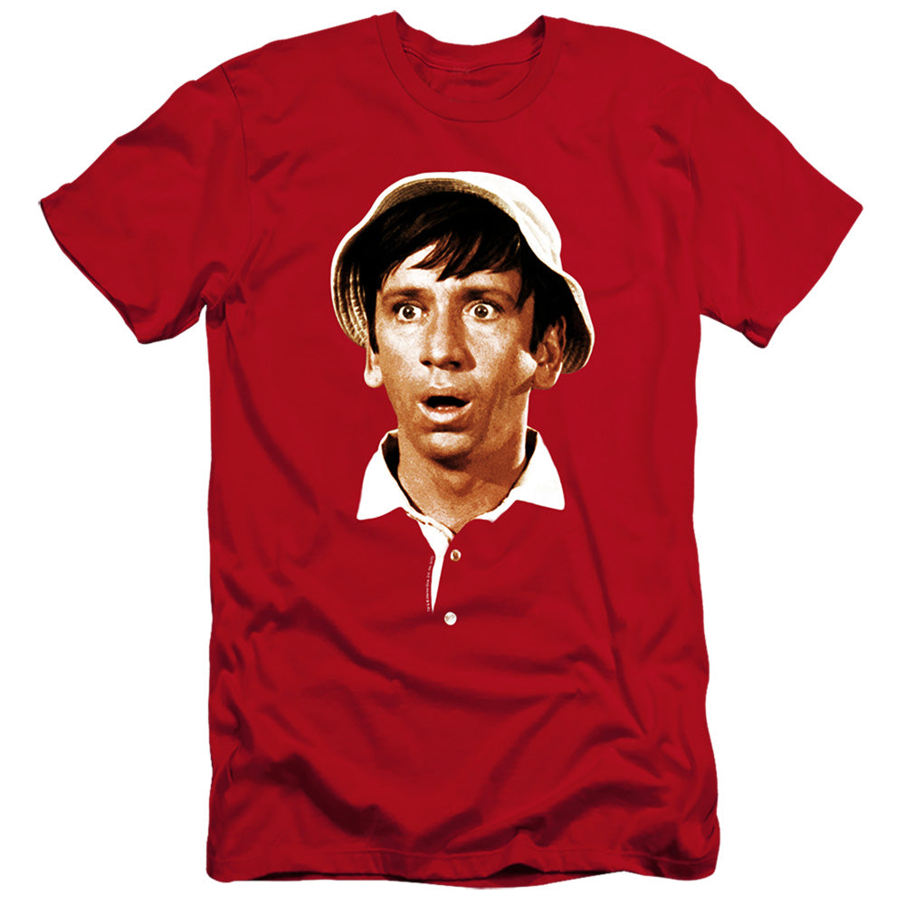 GILLIGANS ISLAND/GILLIGANS HEAD